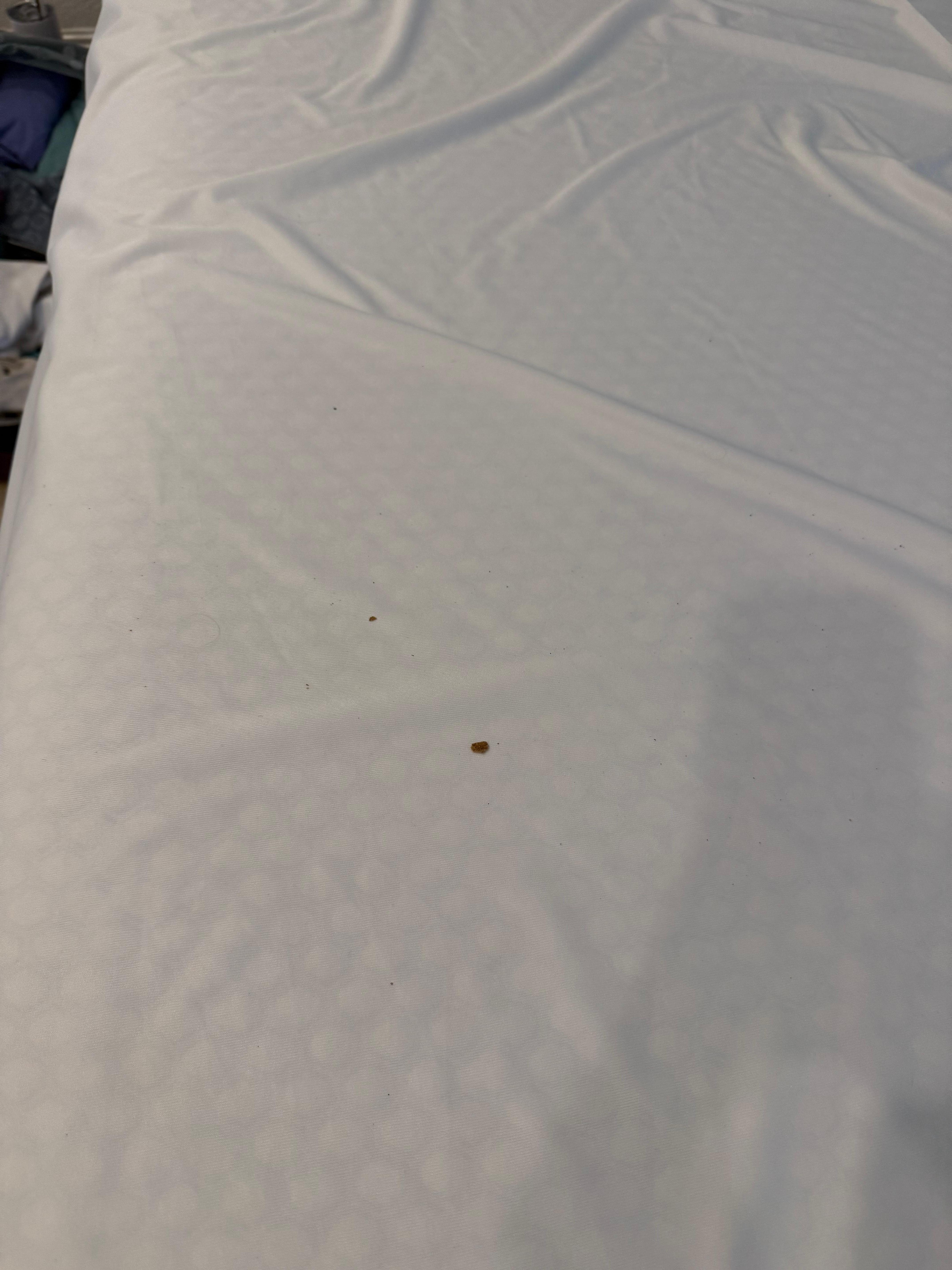 Sheets in pool house were dirty. The girls had to sleep on towels the first night and had to wash the bedding the next morning. 