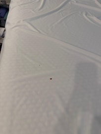 Sheets in pool house were dirty. The girls had to sleep on towels the first night and had to wash the bedding the next morning.