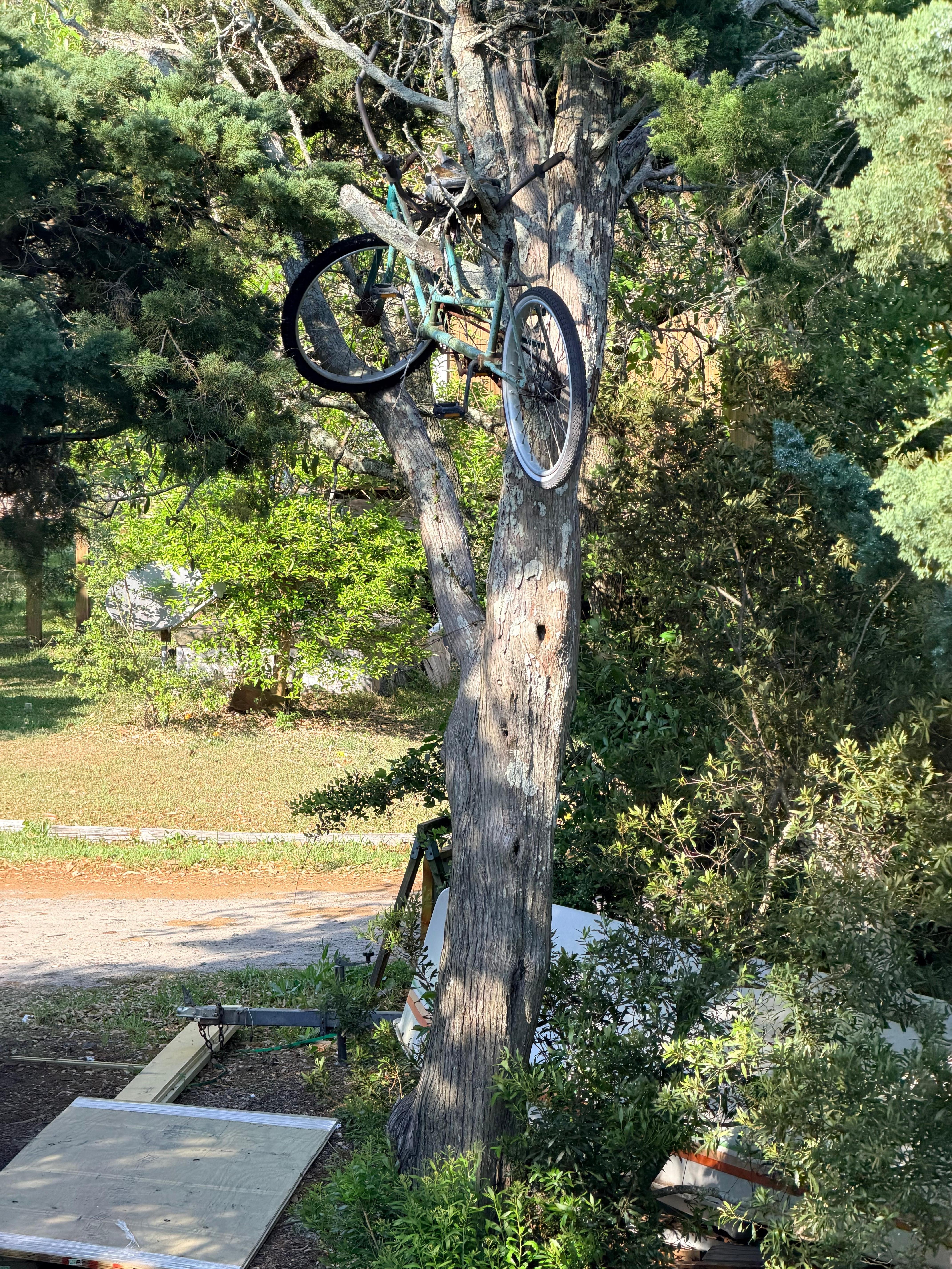 Super fun entrance to the property. 