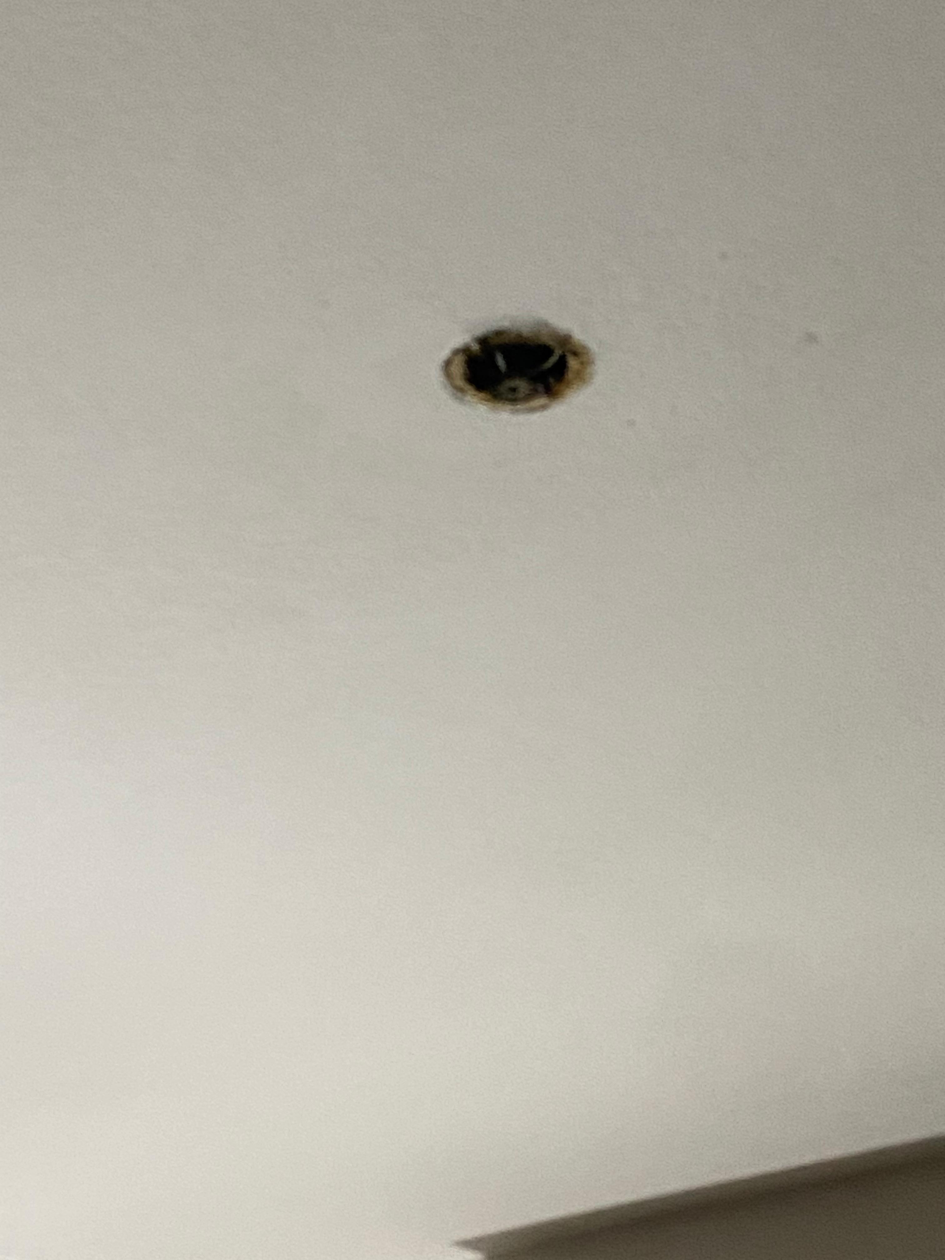 Open hold in ceiling with exposed wires 