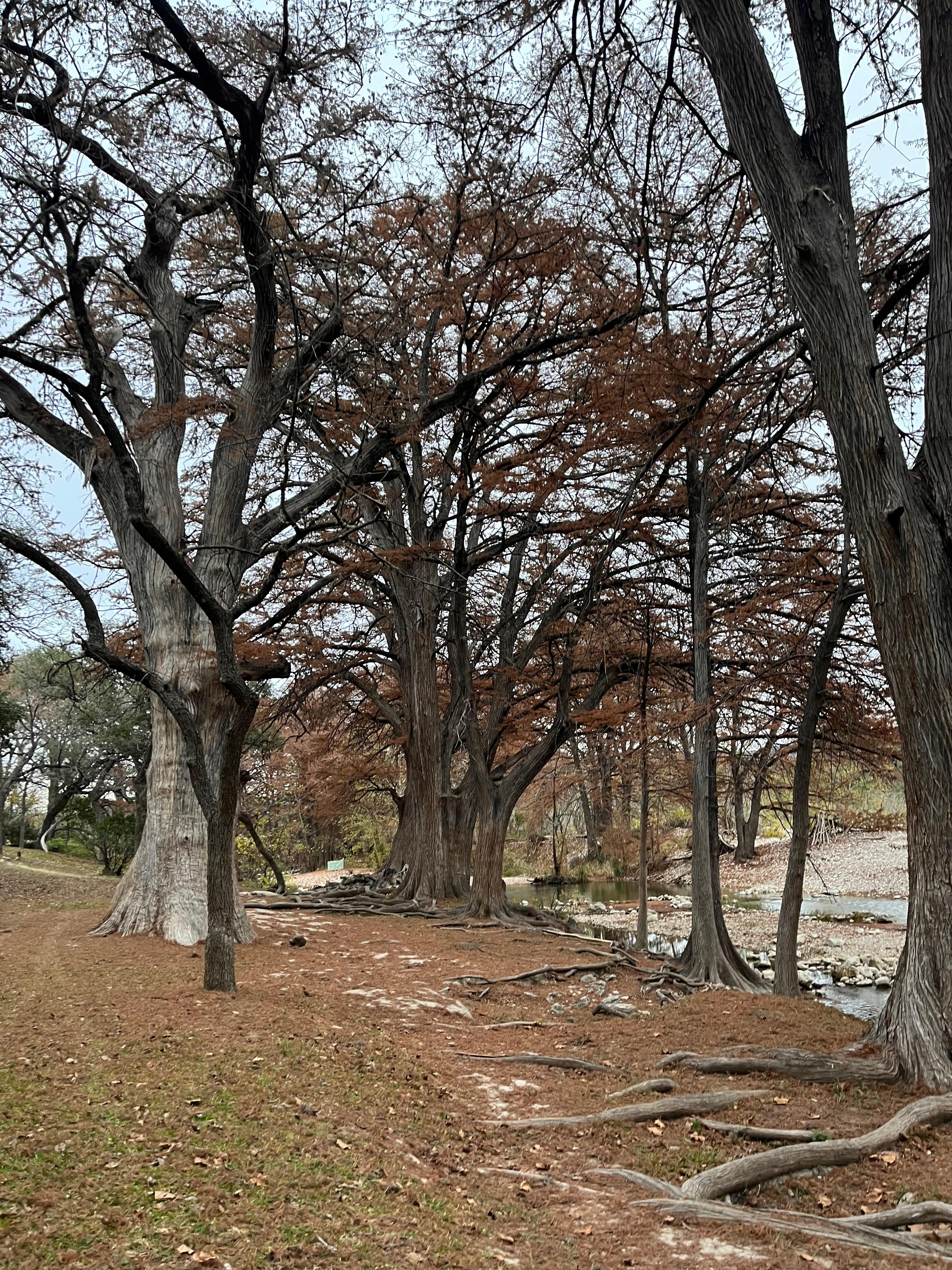 Frio river beside our cabin!