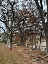Frio river beside our cabin!