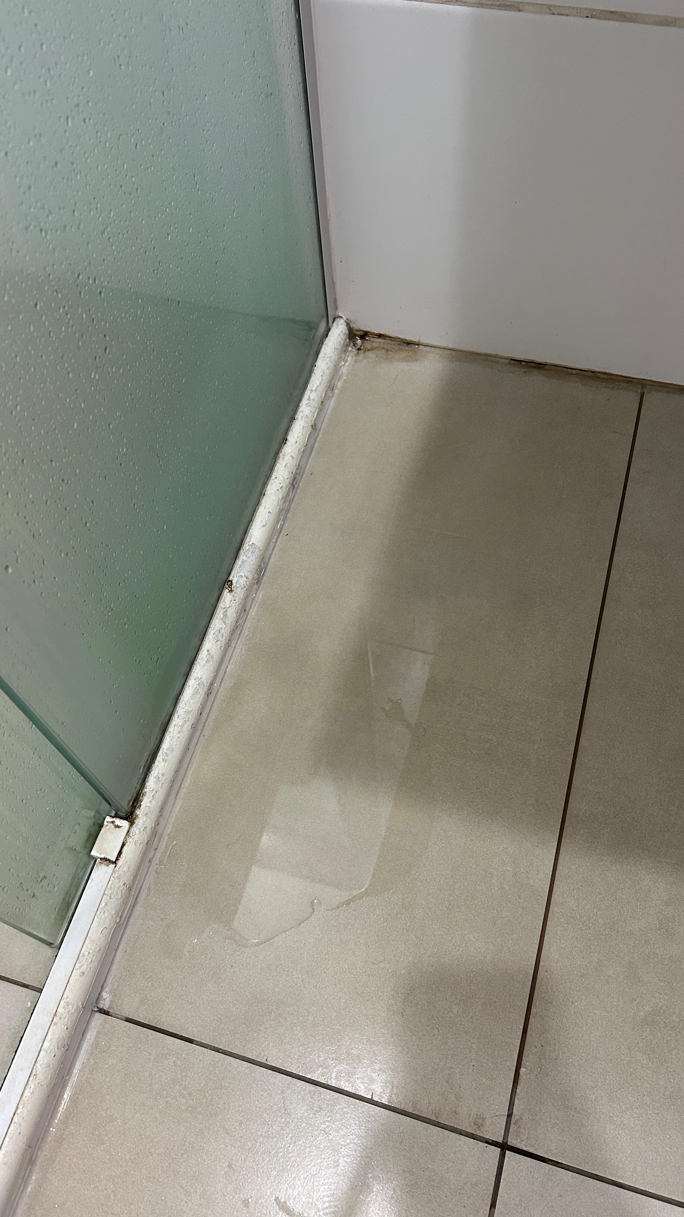 O vazamento do banheiro alagou tudo : (