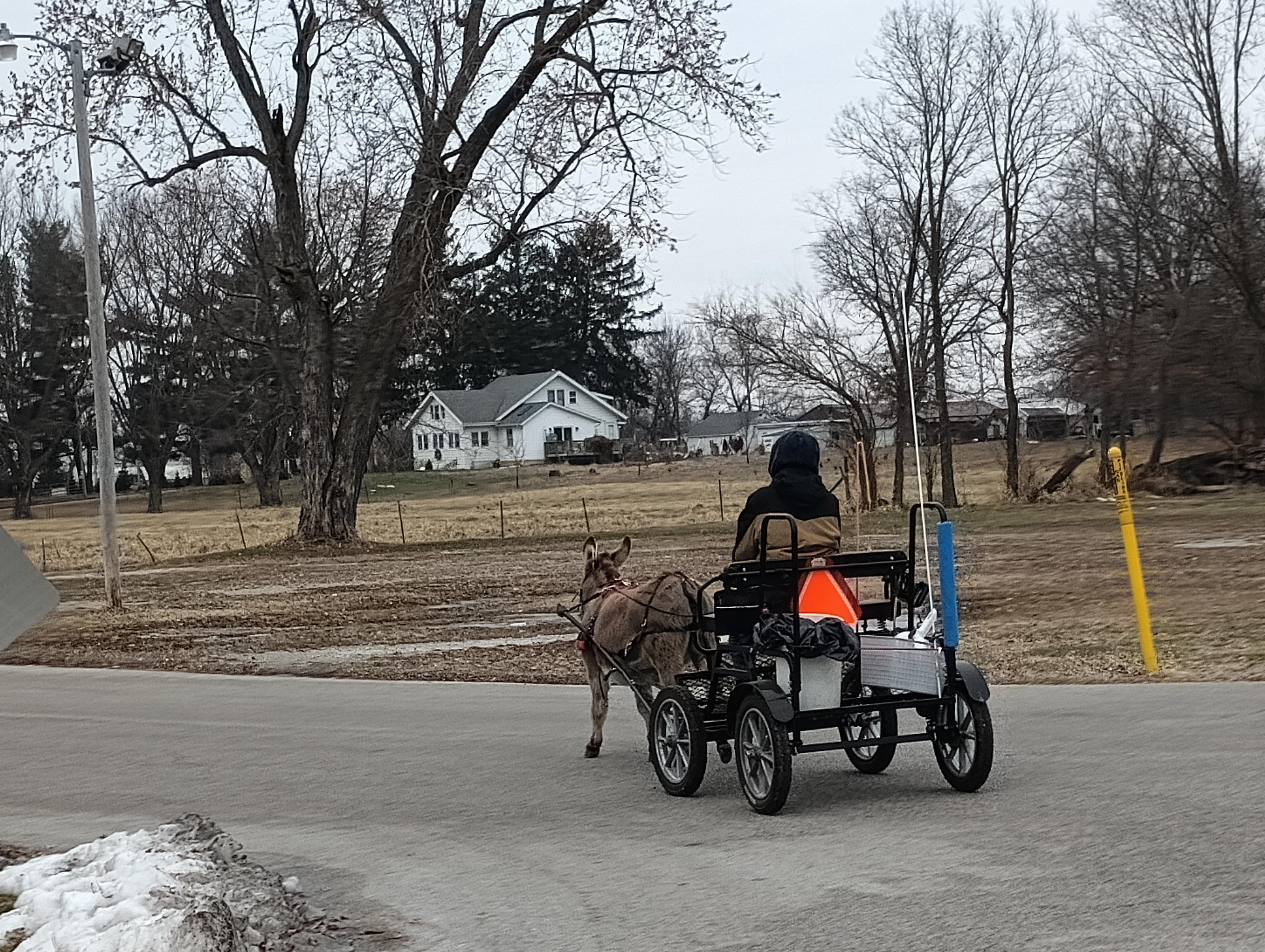 Horse stables are adjacent to the property, so pretty and fun to stay near!