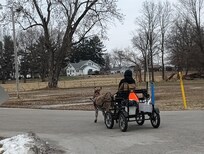 Horse stables are adjacent to the property, so pretty and fun to stay near!