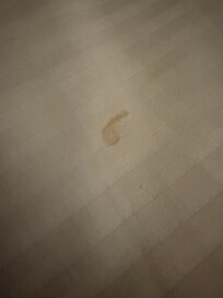Blood stains on sheet