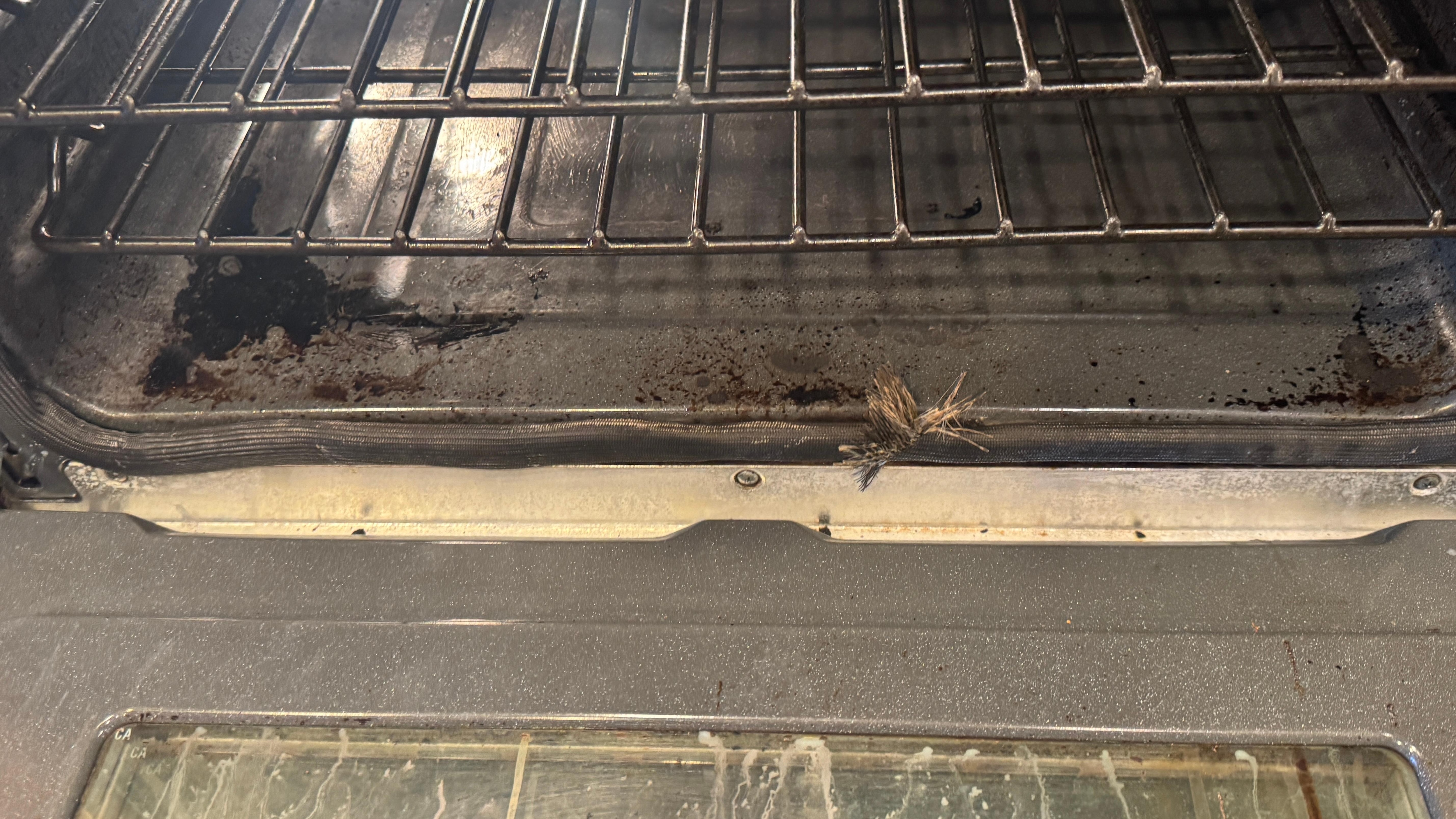 Super dirty oven and broken seals