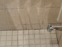 Main shower black mold