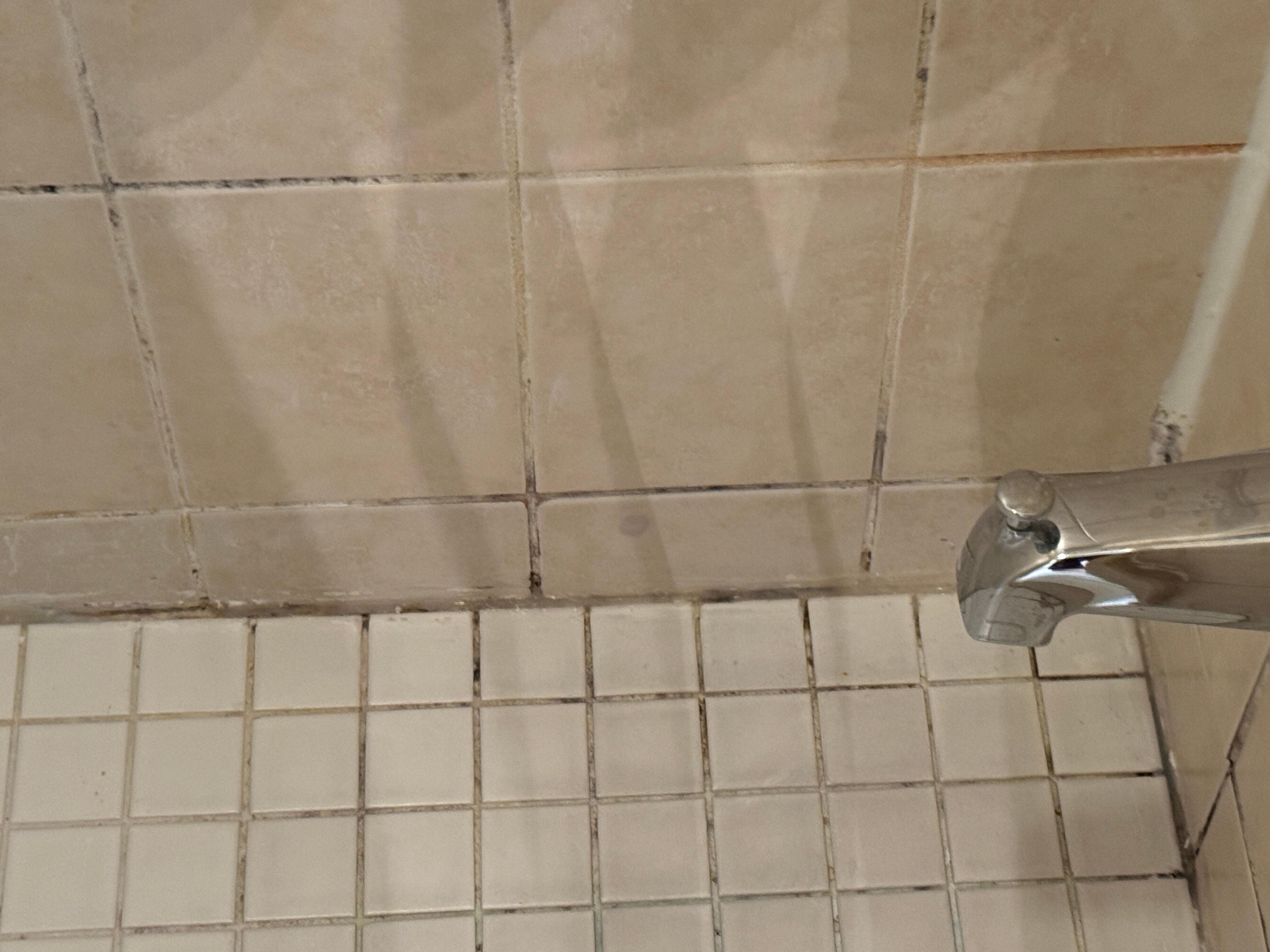 Main shower black mold