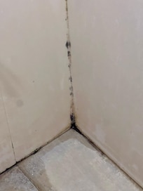 🤢