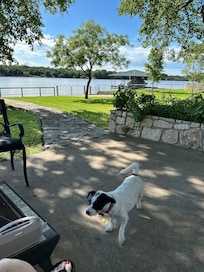 Lovely backyard, lots of birds & squirrels to chase.