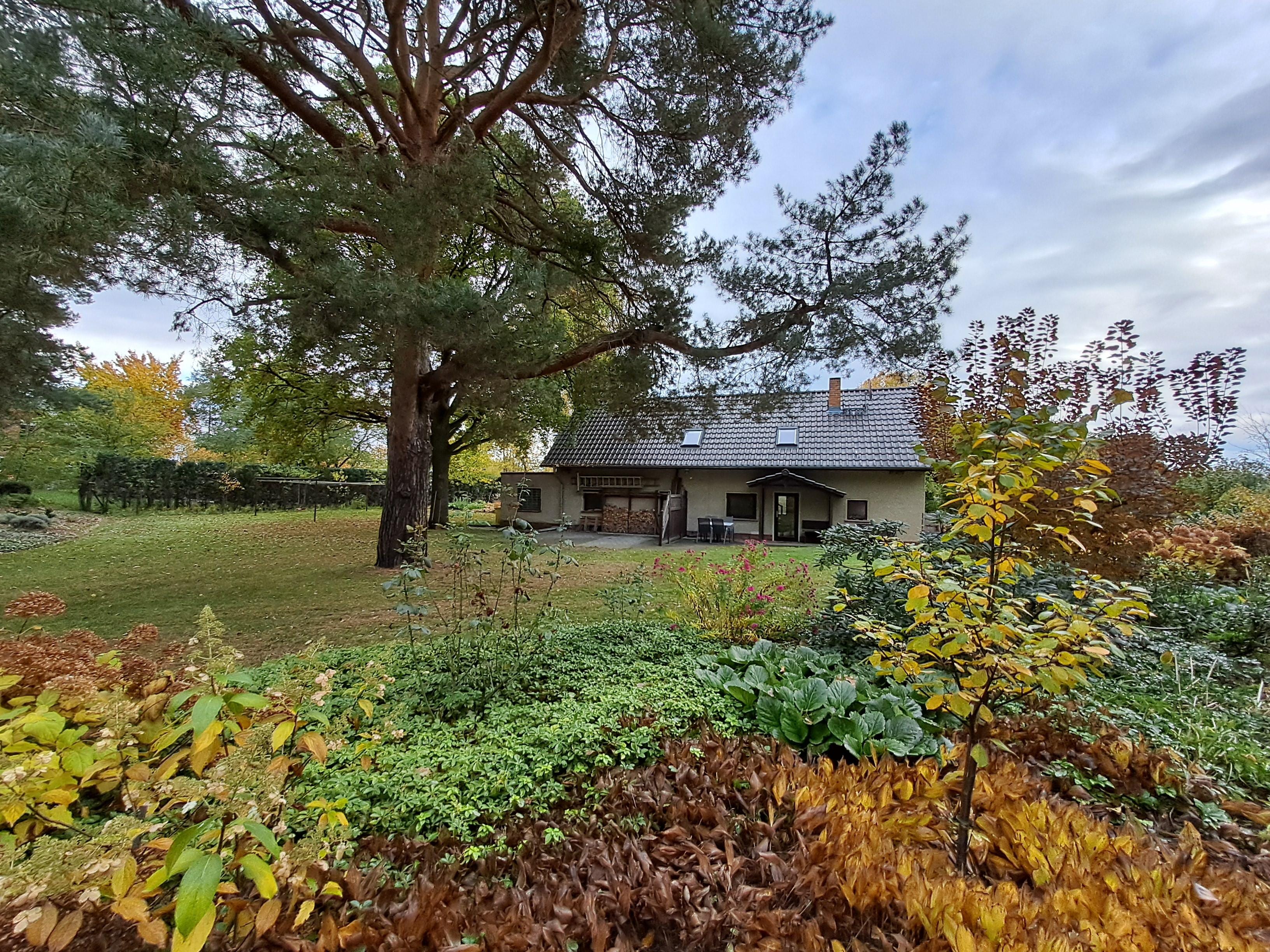 Traumhaft schöner, parkartiger Garten. Ruhig gelegen, mehrere Sitzmöglichkeiten vorhanden.