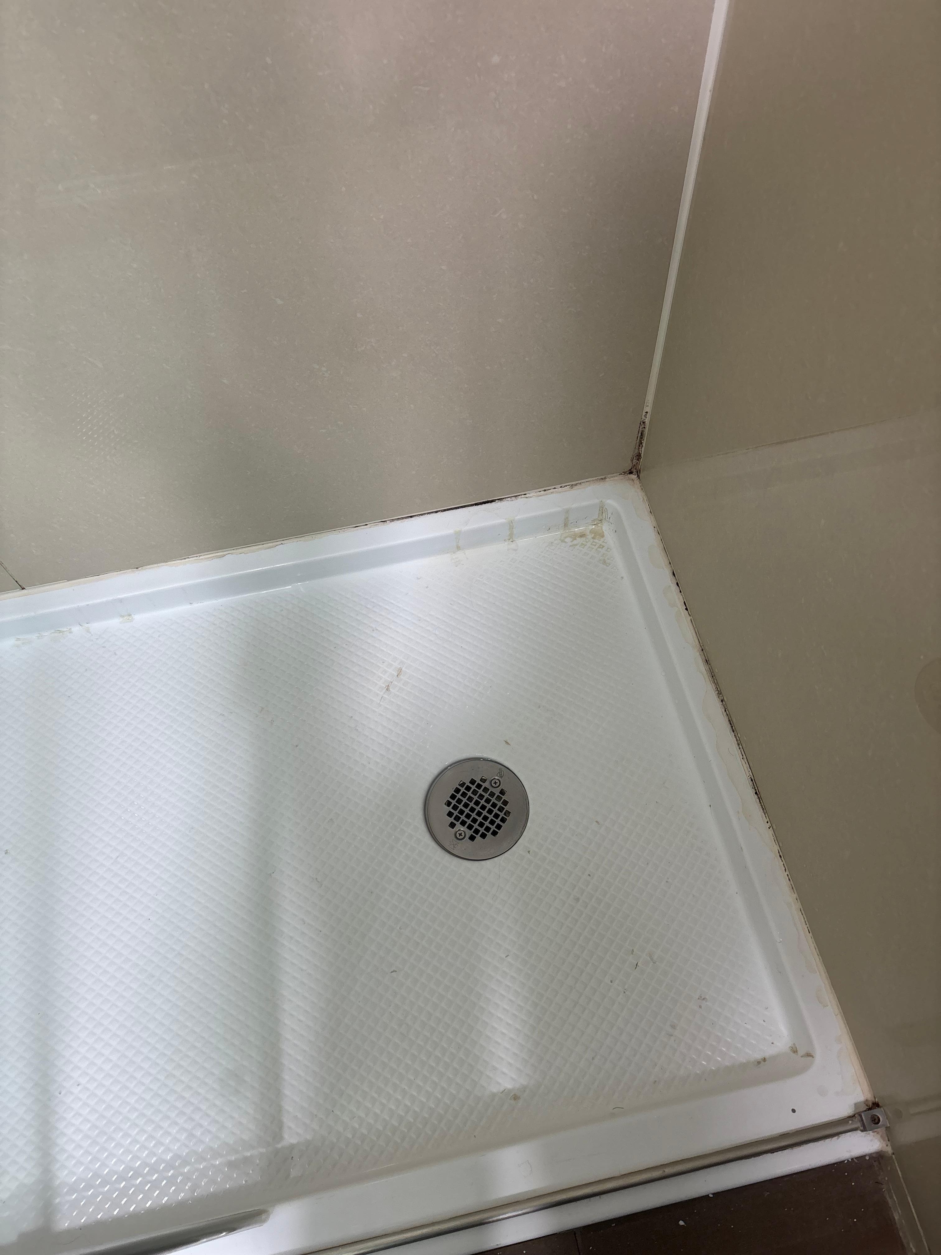 Moldy shower 