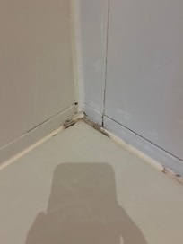Black mold all over shower