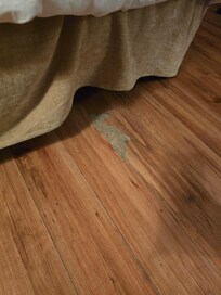 Damaged floor boards