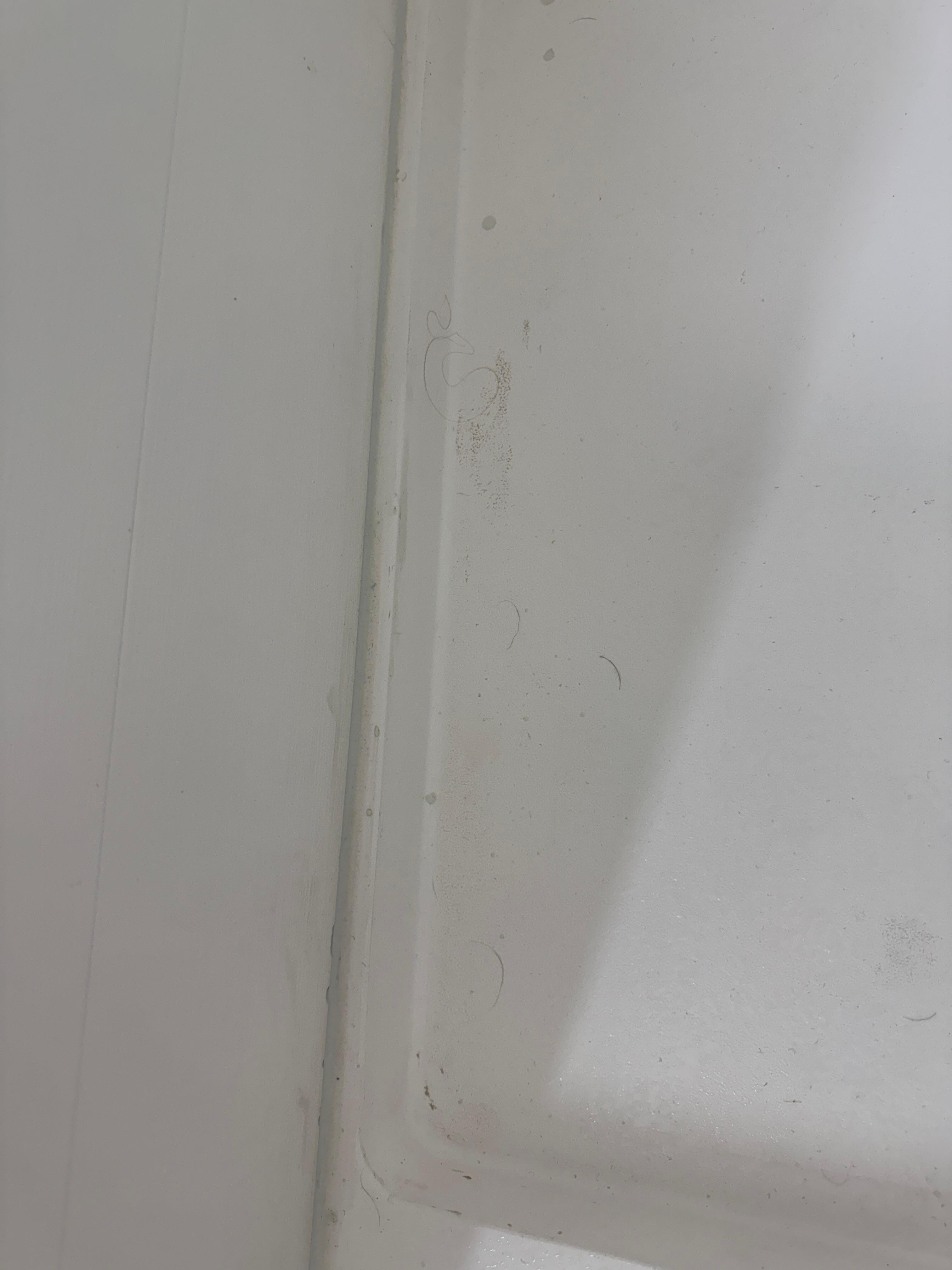 hairs and dirt in shower