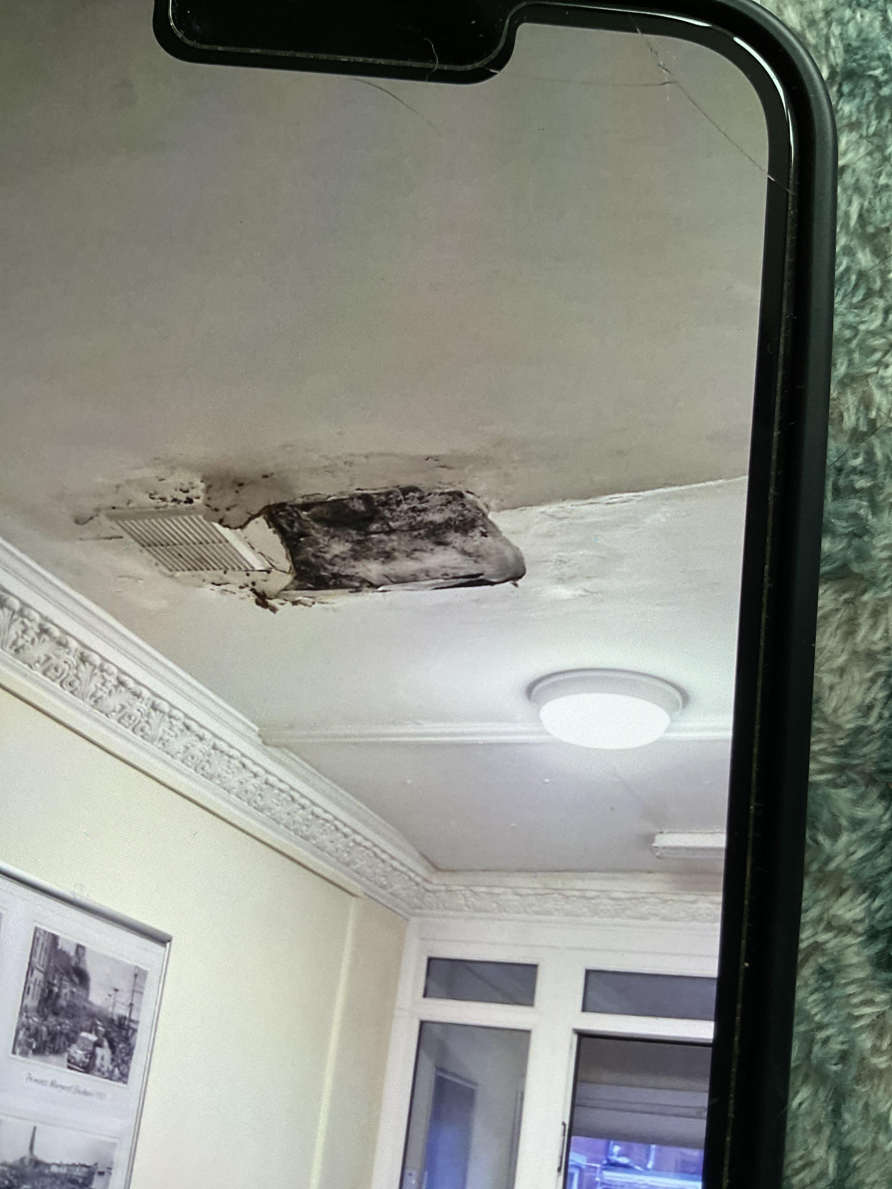 Hole in ceiling in front hallway