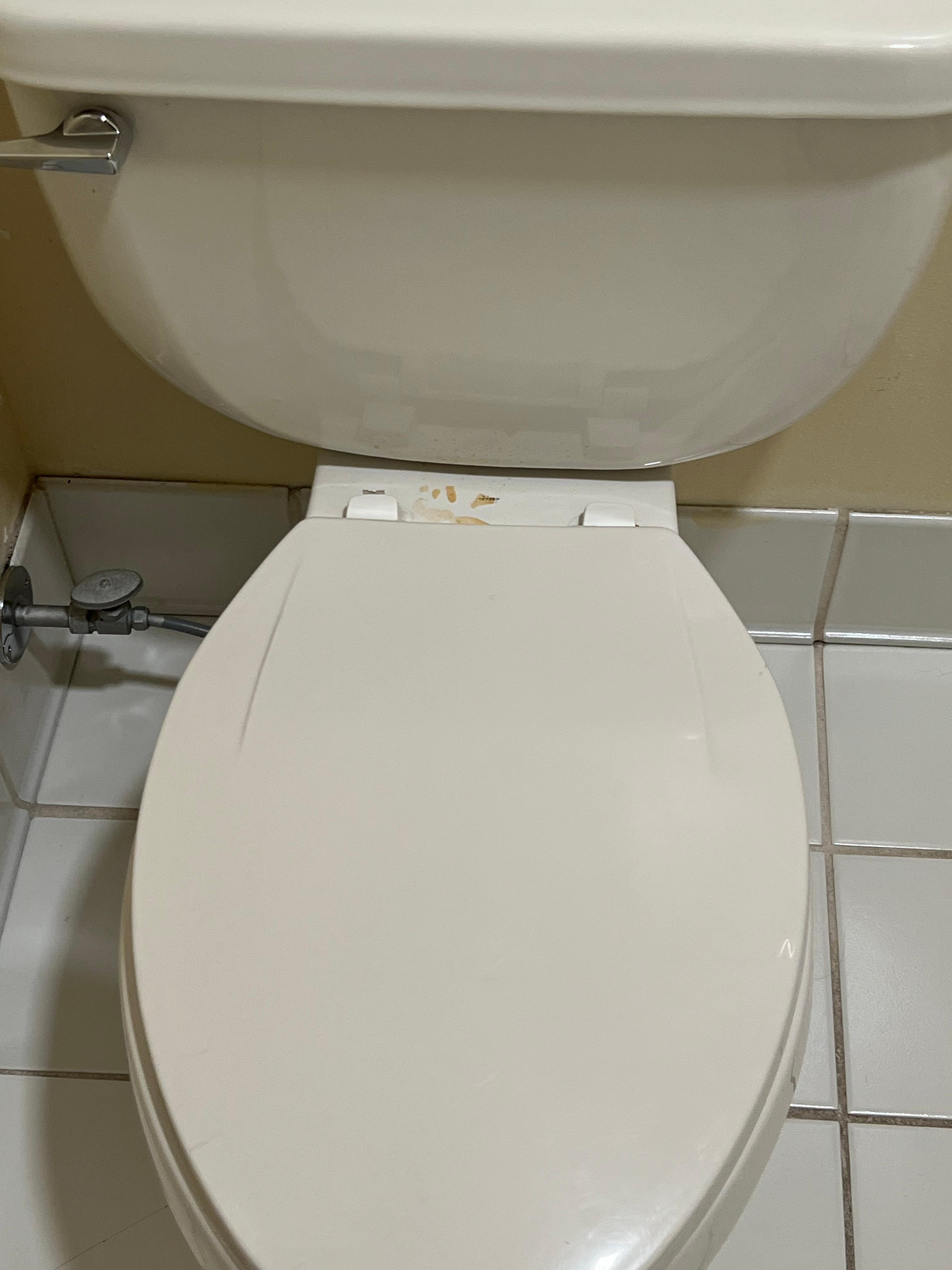 Dirty pissed toilet customer service tried arguing saying those are scatches
