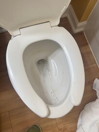 Hard water rings in toilet.