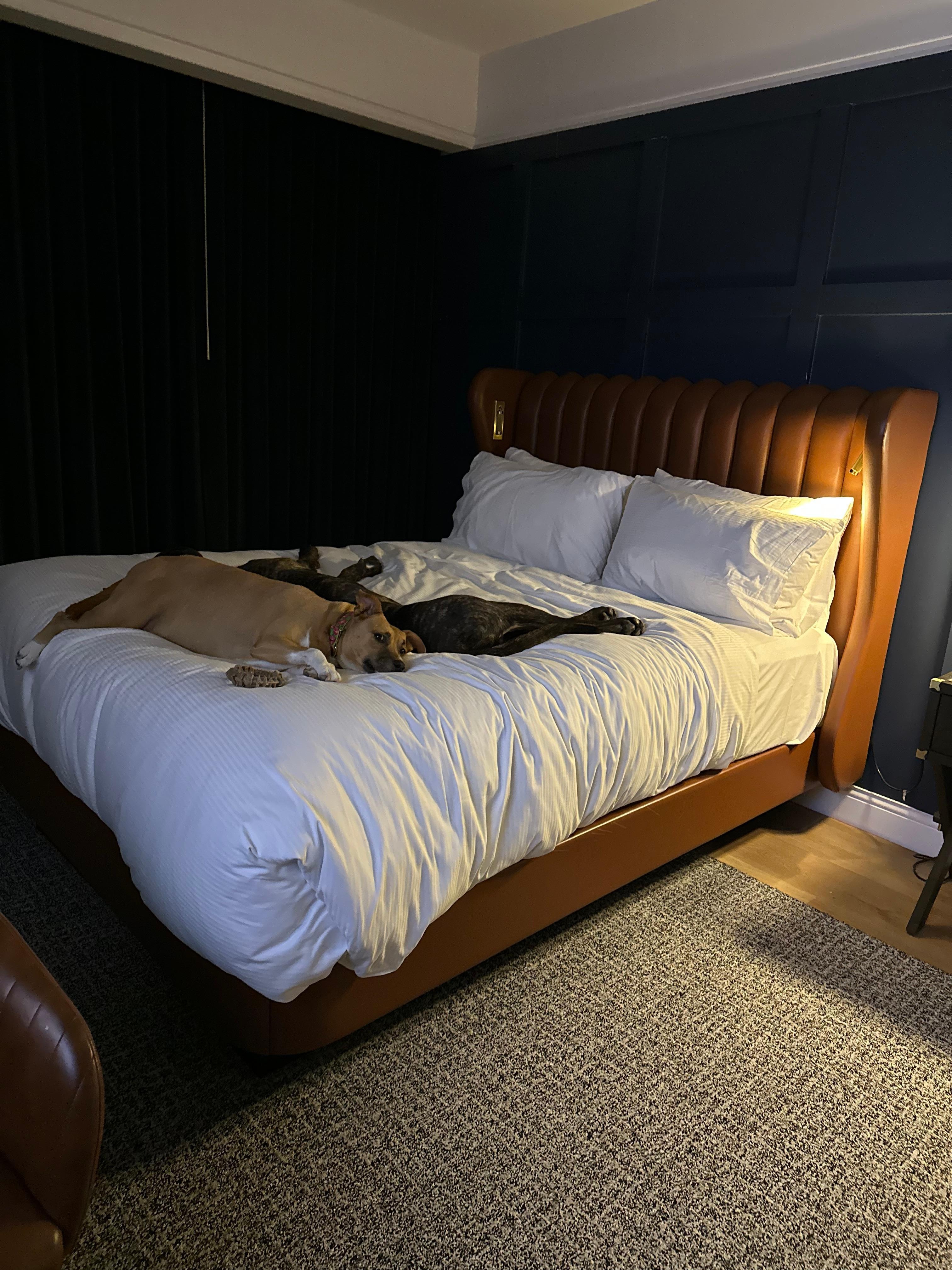 Clearly, they had a ruff day too. 