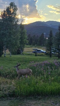 A friend came to join us for the sunset