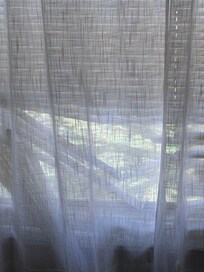 broken and filthy blinds and curtains