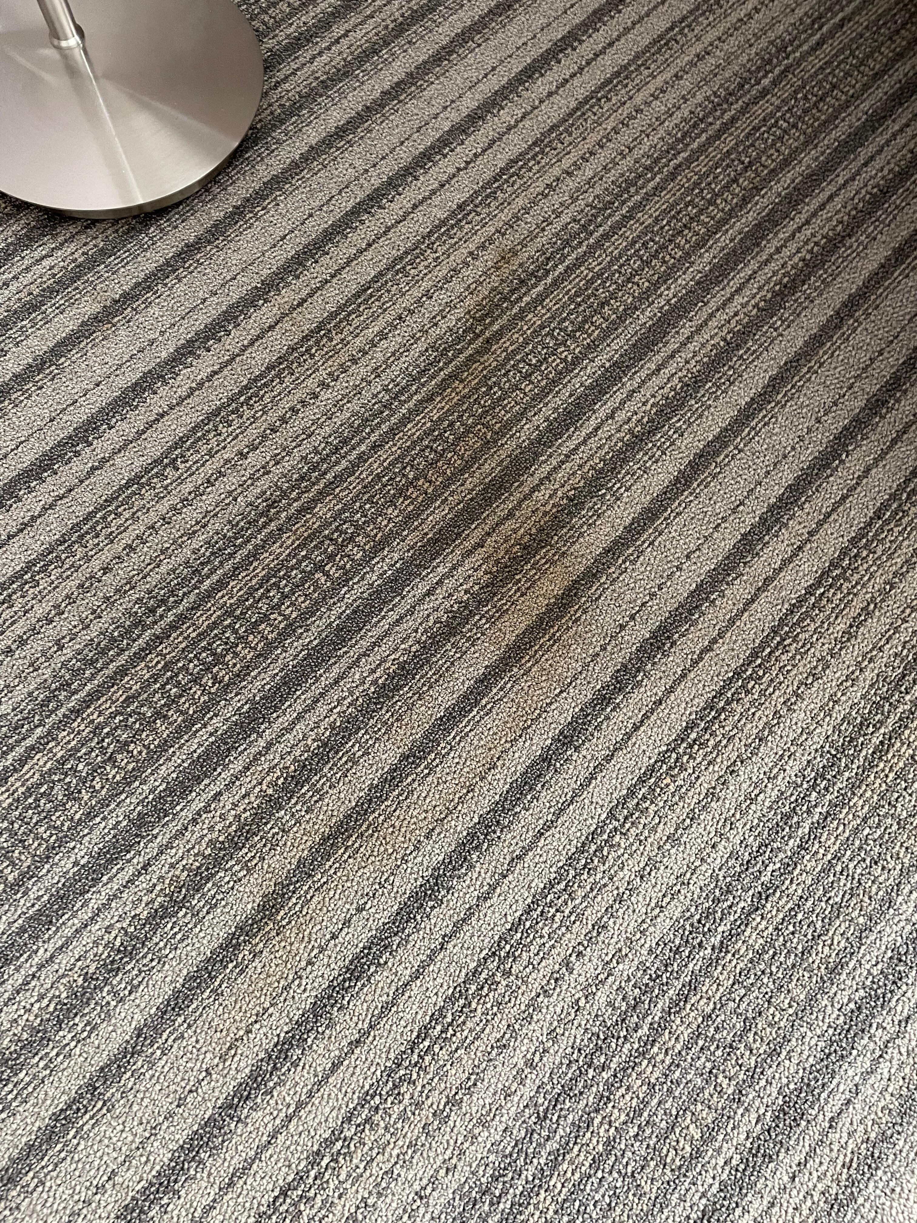 On the floor in the 1st room I was given