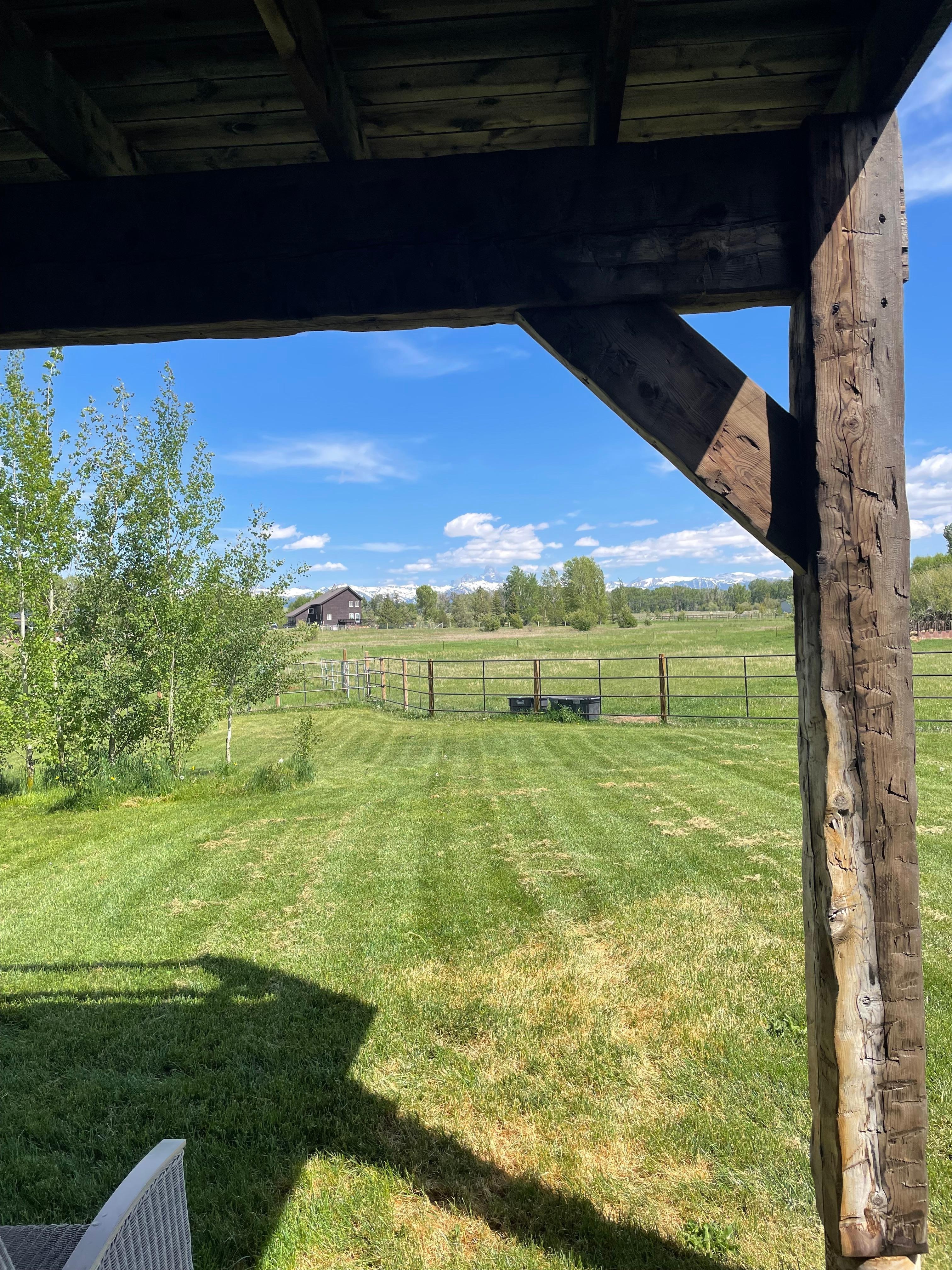 View out the front door