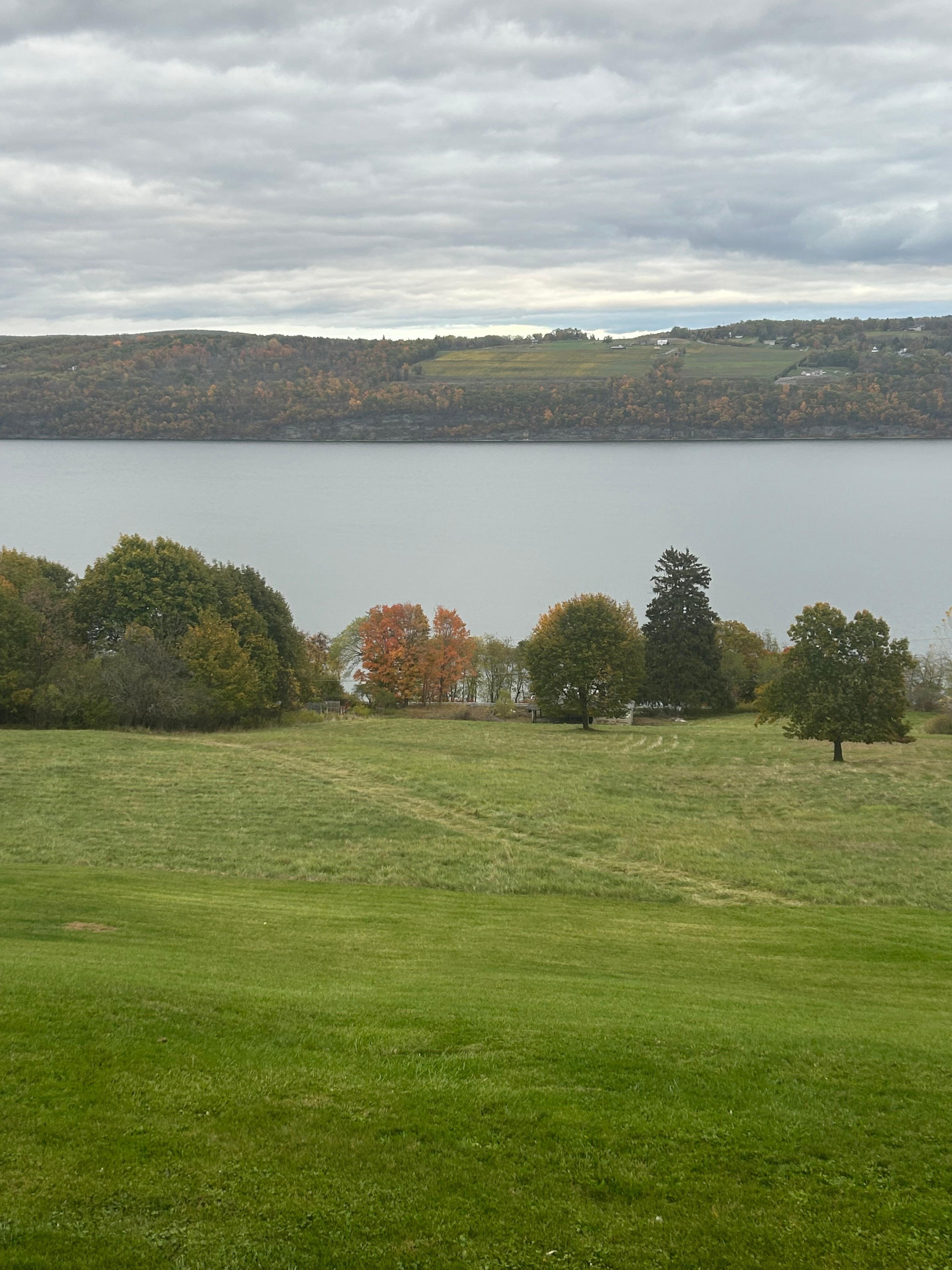 View from my balcony 