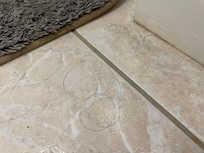 Hair on bathroom floor around the shower mat - the whole floor was covered in hair