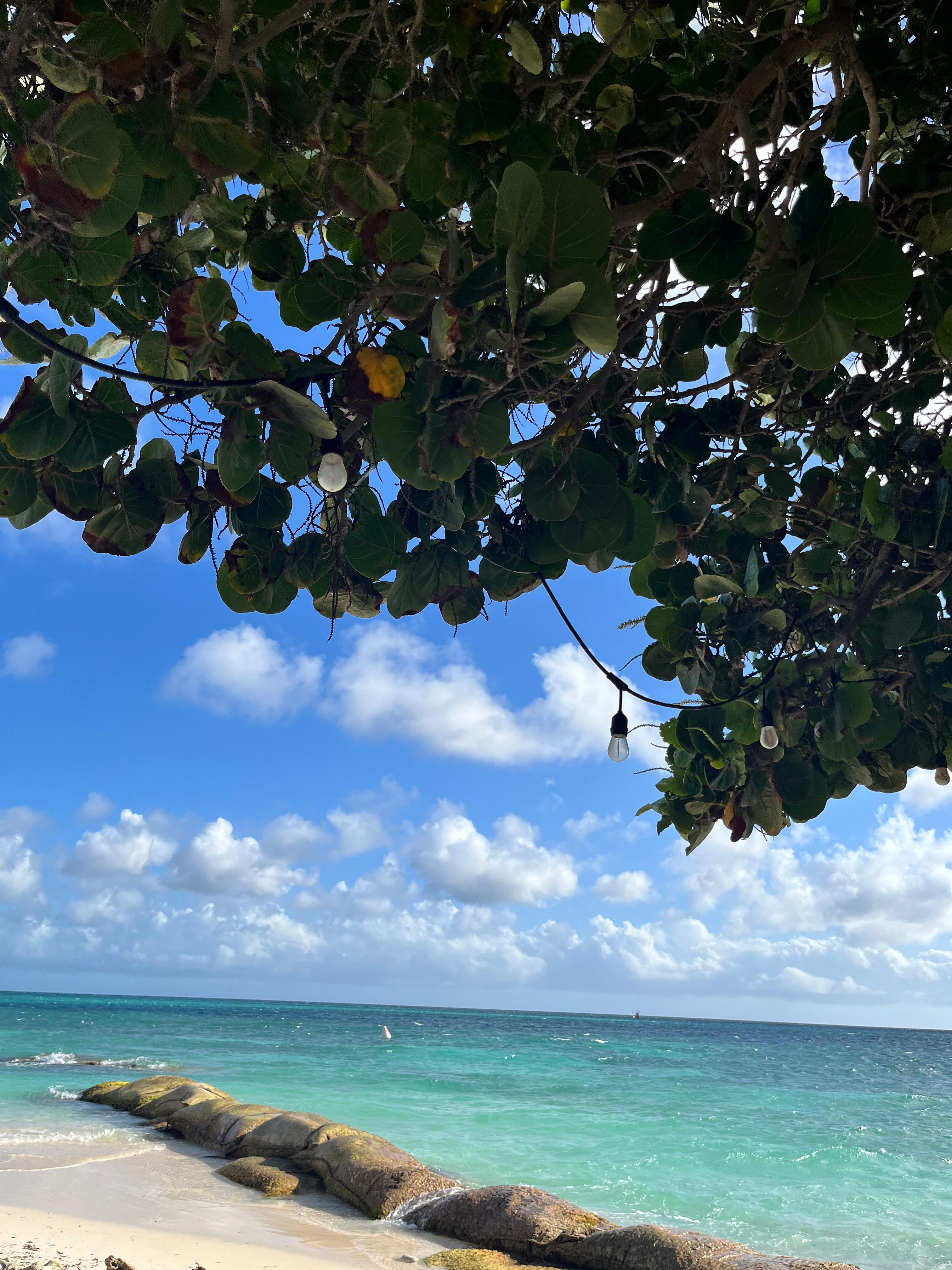 View from the beach near the Bunker Bar