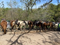 OK trading post - fun times!!