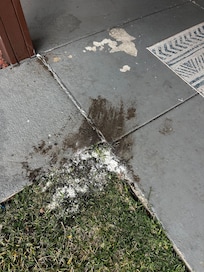 The BEST part of the house was outside….. and this is it!!