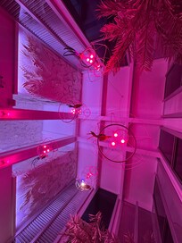 Cute pink lighting