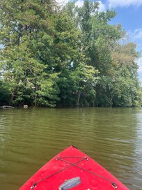 Kayaking the river