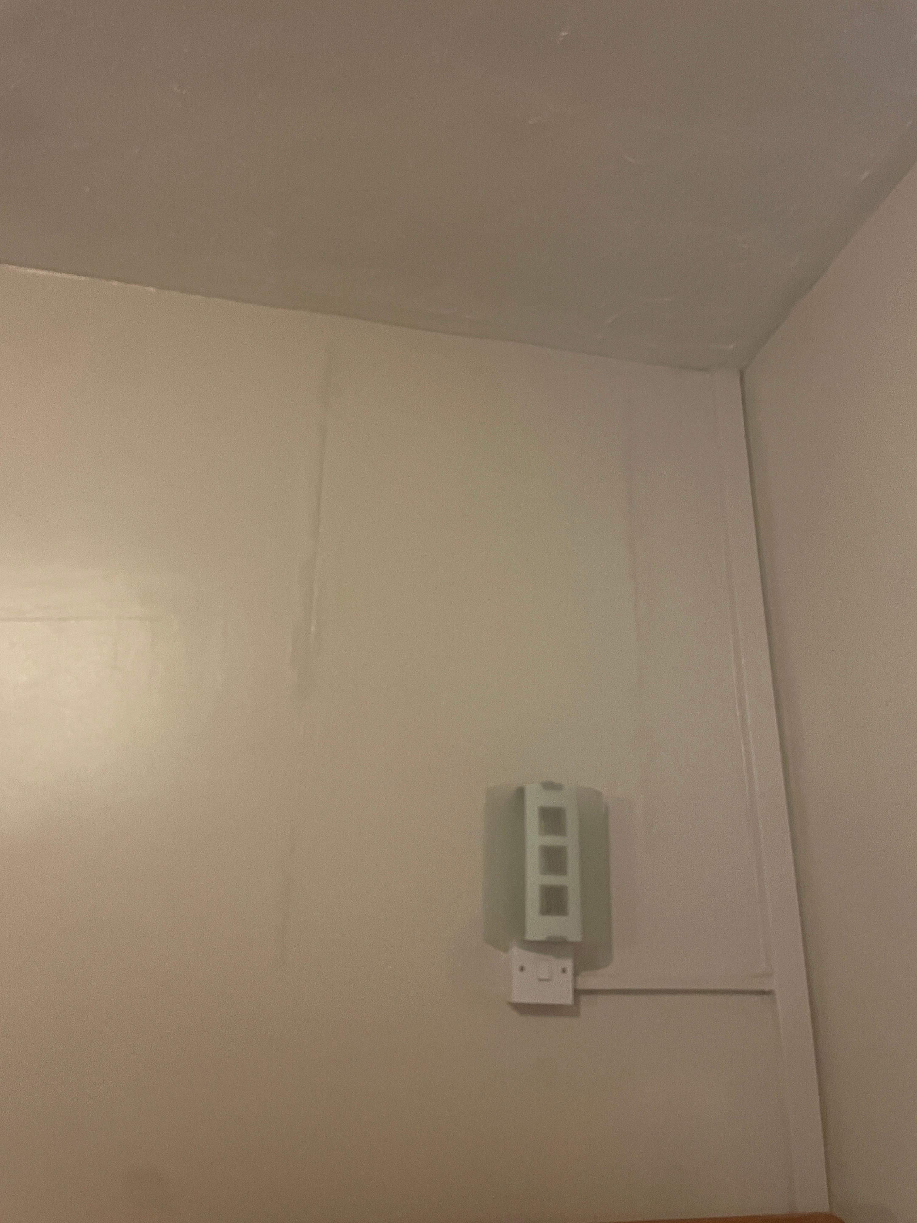 Damp, can see lines of wallpaper where damp has settled