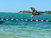 View from the Pier House beach.