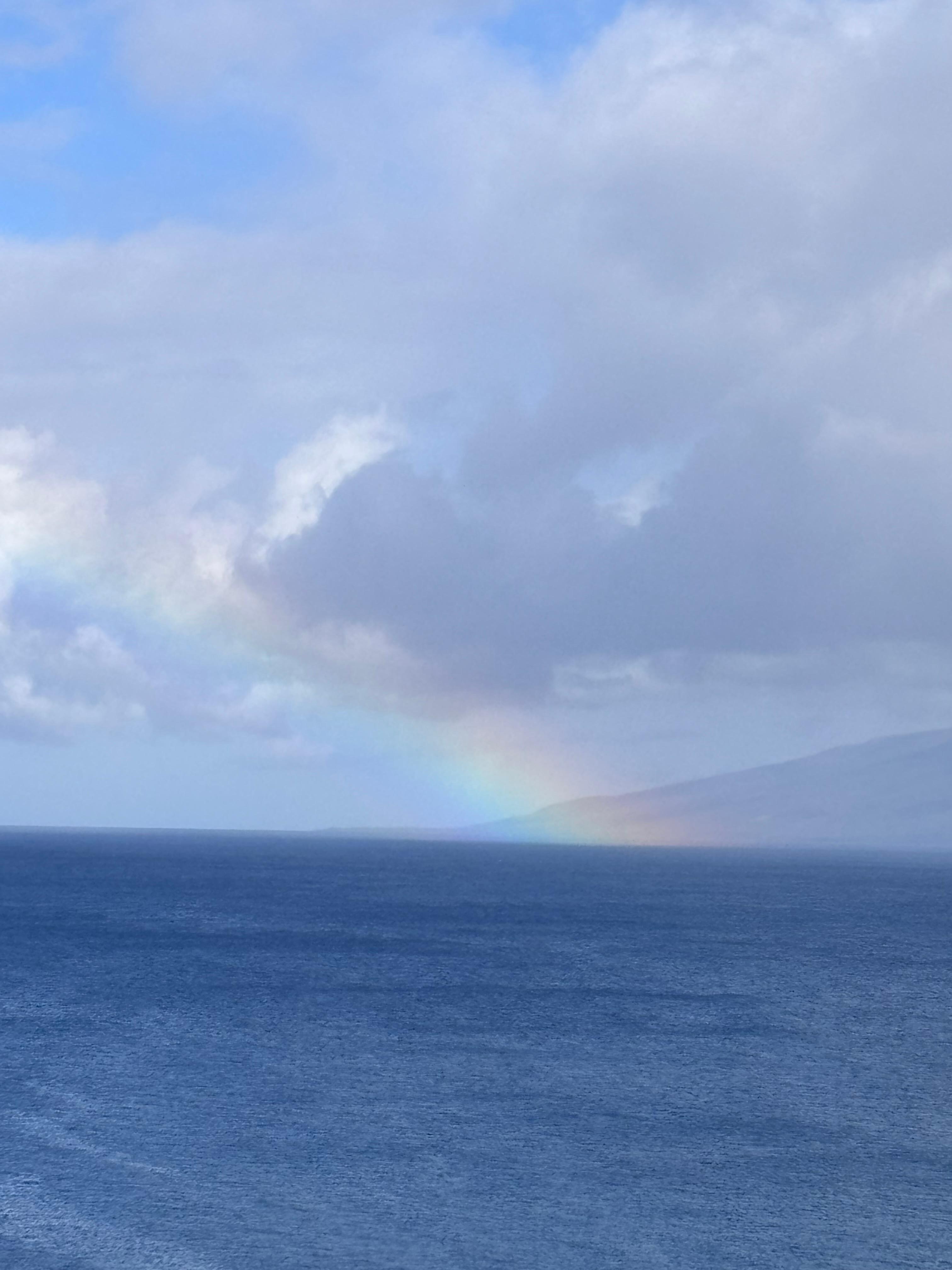 Rainbow (this was taken in the morning) 