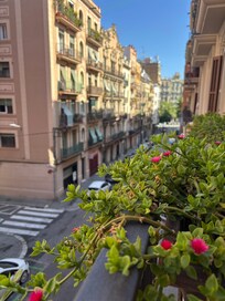 View from terrace