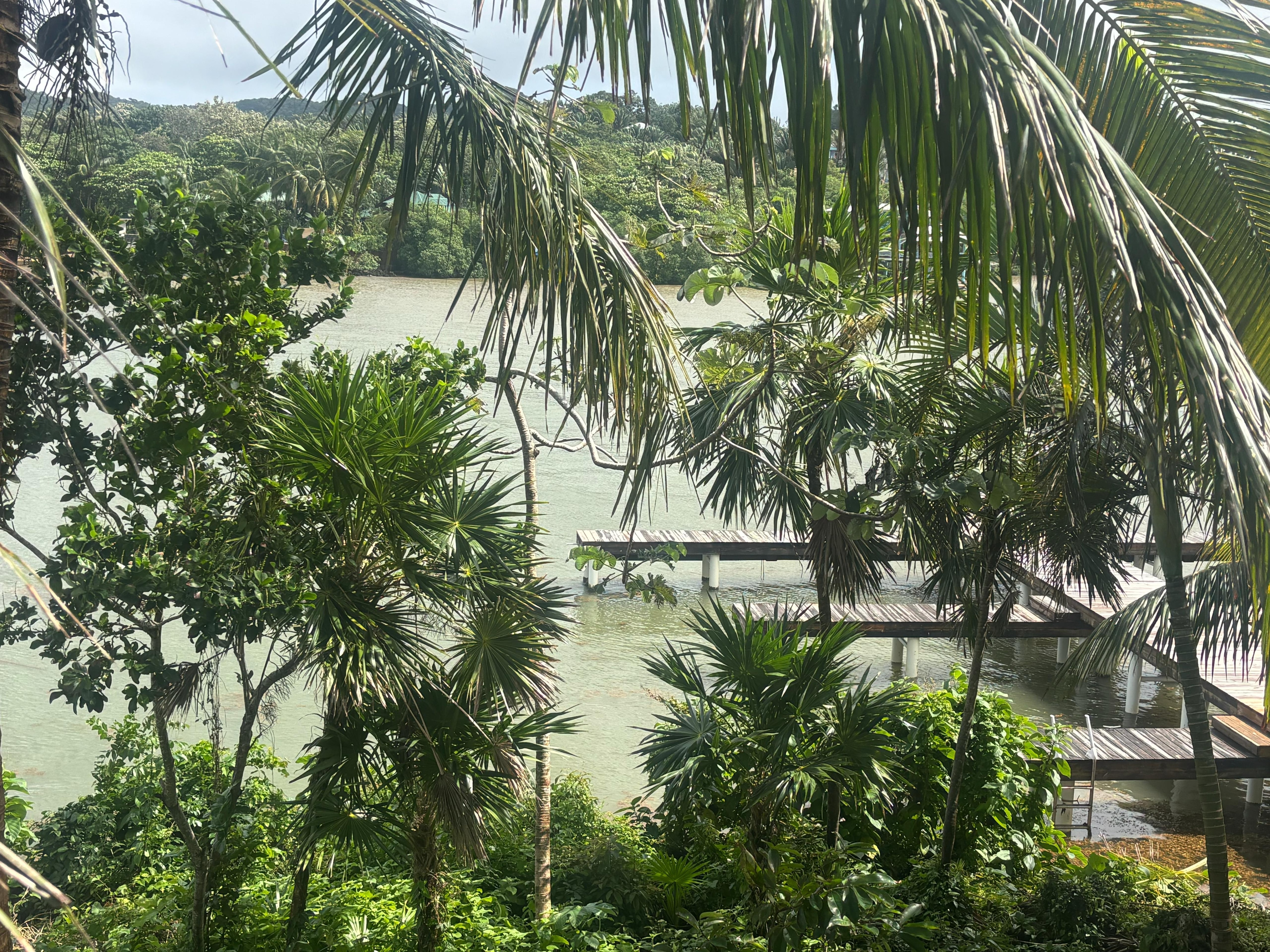 View from the balcony 