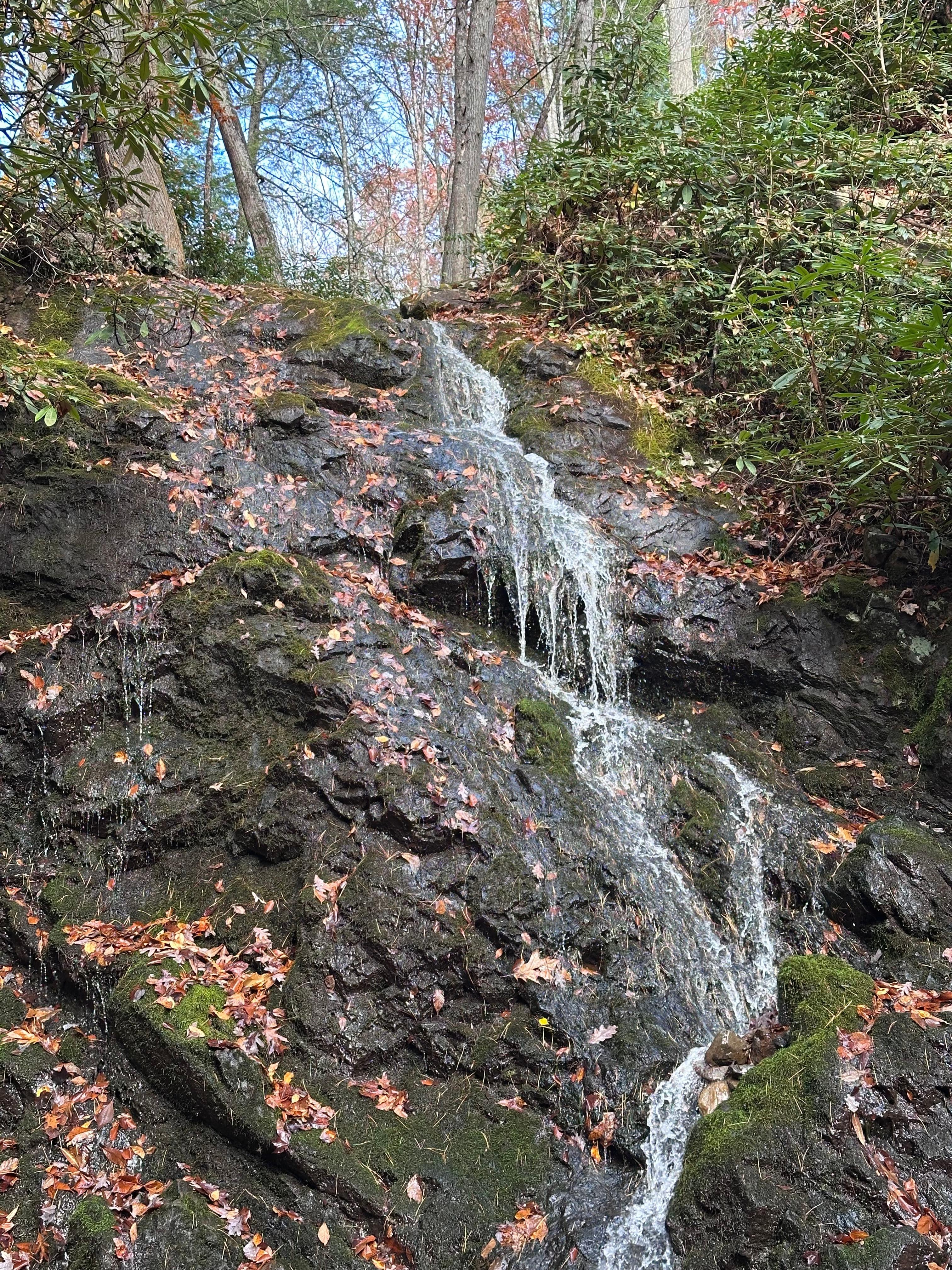 Easy hikes to great views. 