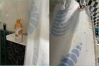 Moldy curtain and a shampoo - no body wash.