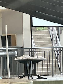 Yah, just leave your towels and trash! People shouldn’t leave things like this.