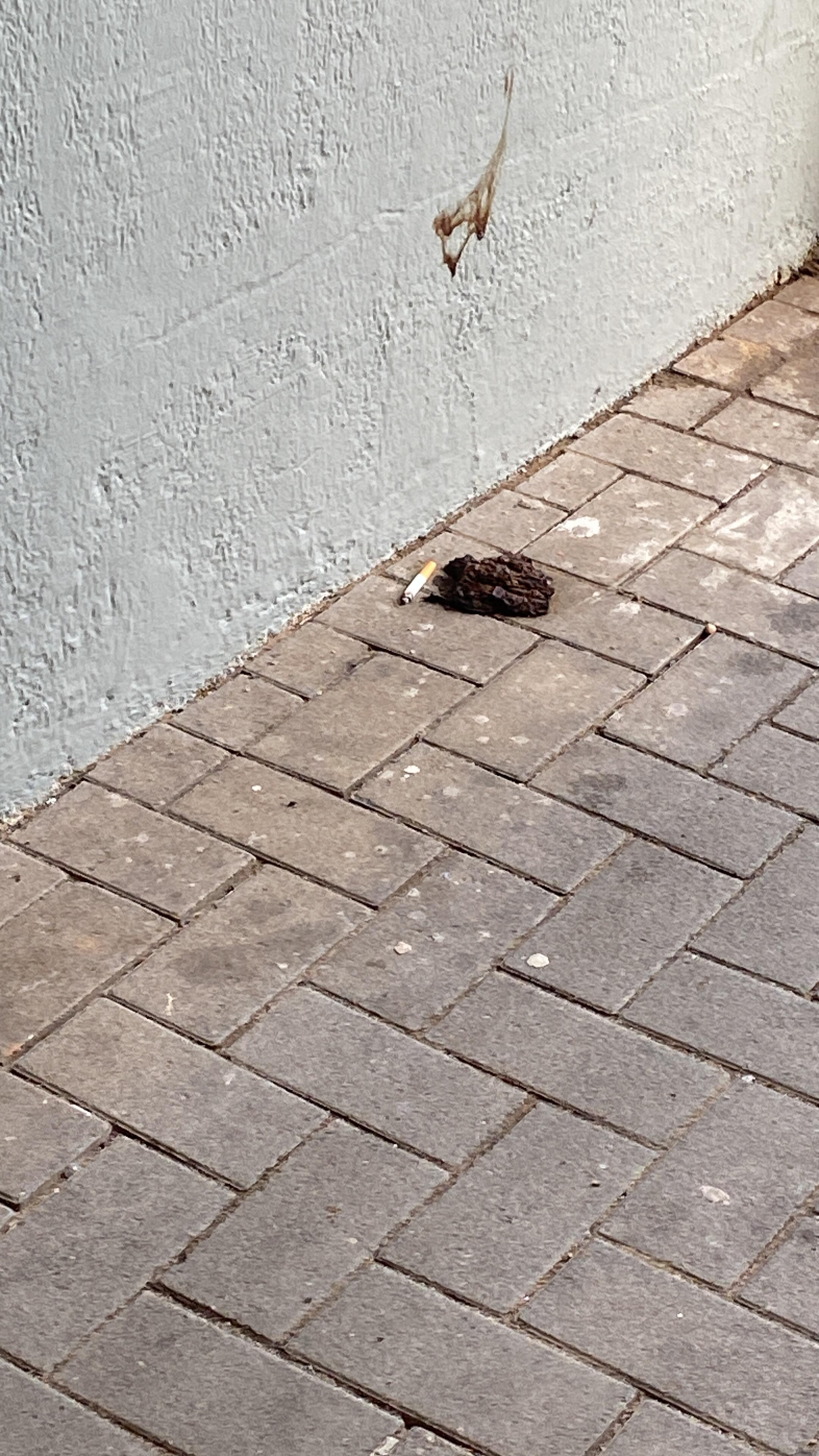 Das war eines morgens neben der Tür 