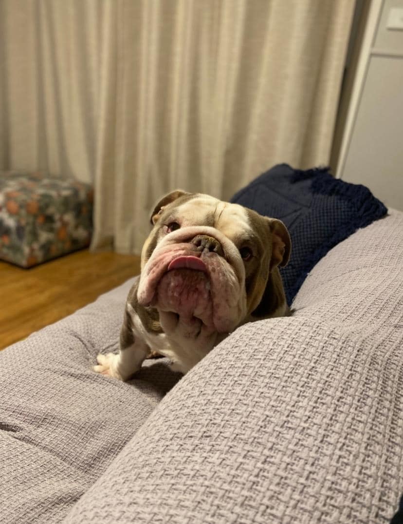 Beautiful home away from home