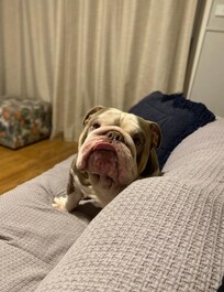 Beautiful home away from home