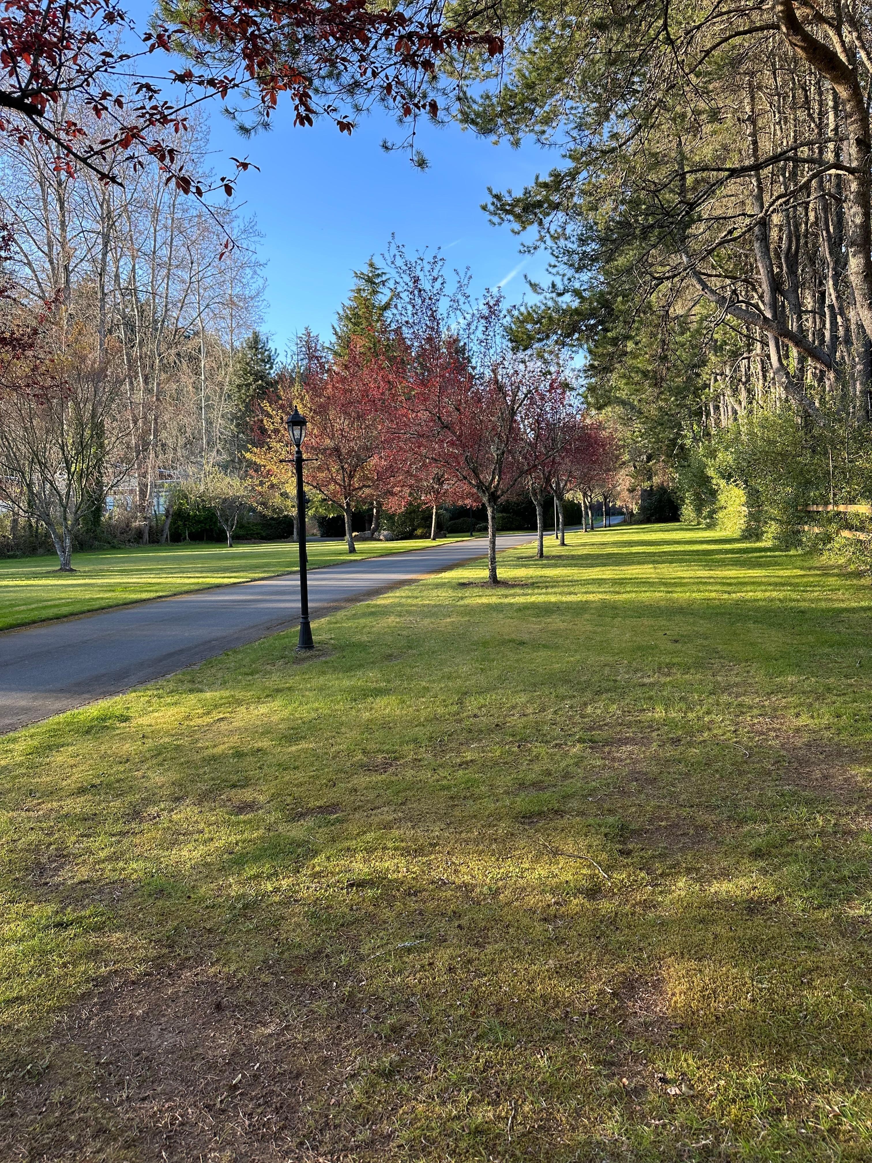 The view of the beautiful front yard leading up to the guest house.