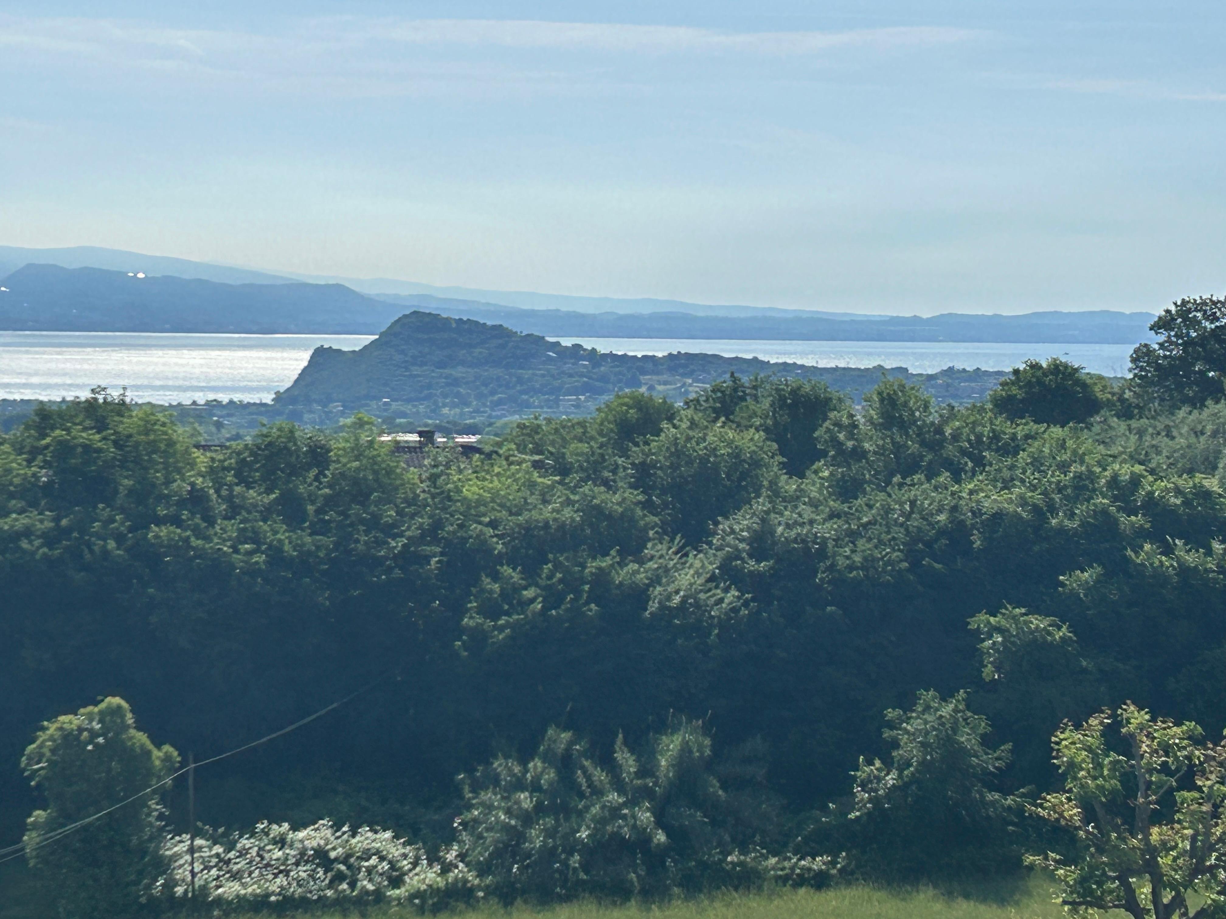 Der Blick aus dem Fenster