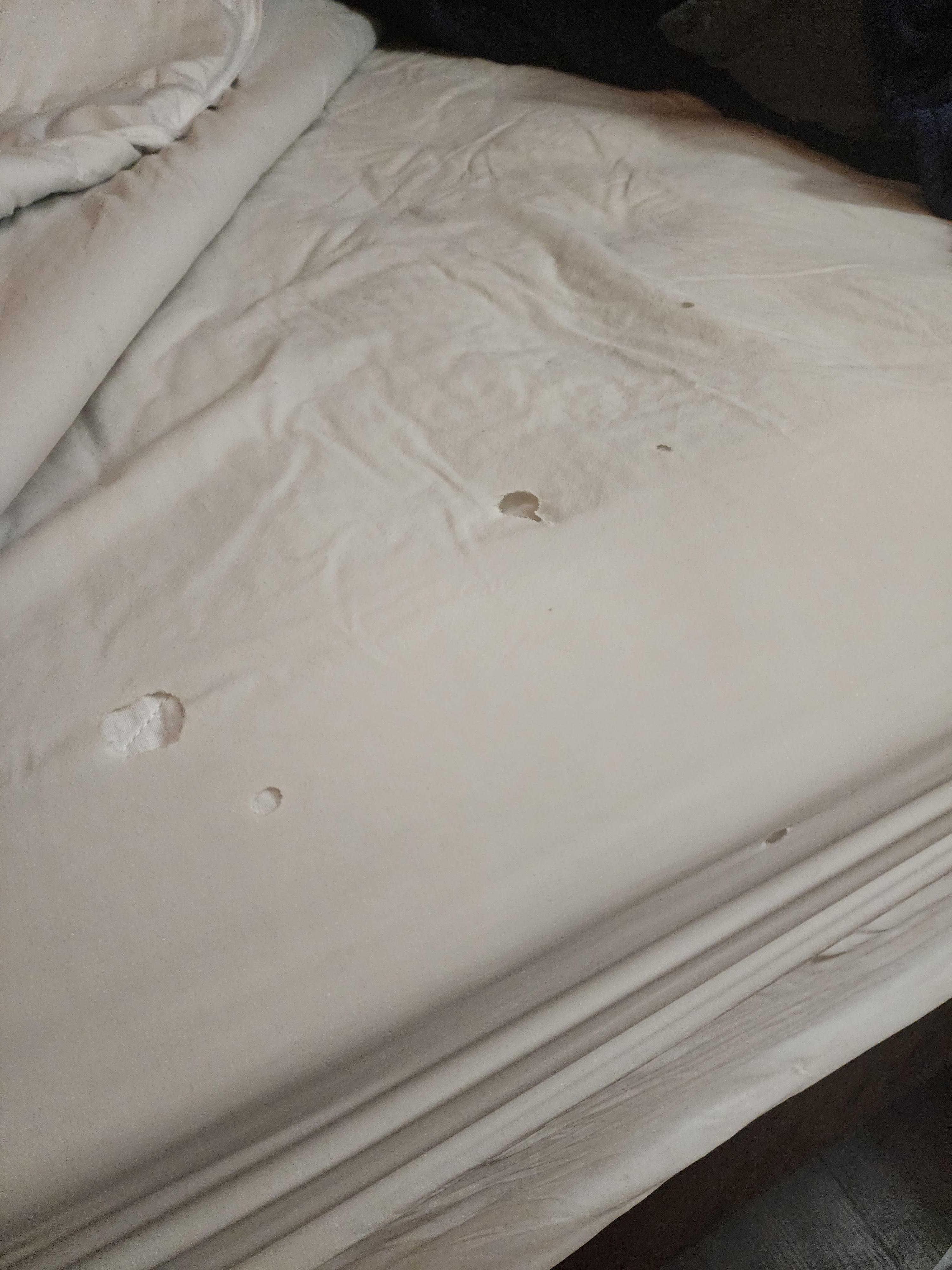 Fitted sheet
