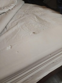 Fitted sheet